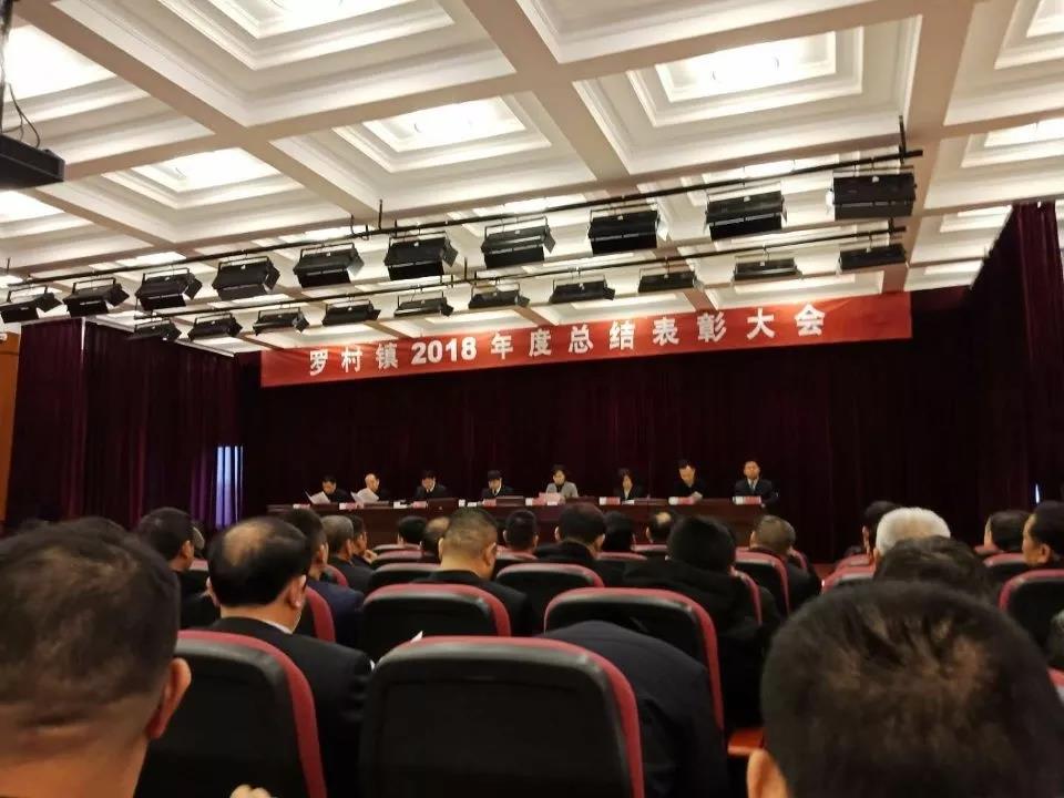 集團(tuán)公司榮獲羅村鎮(zhèn)財(cái)稅貢獻(xiàn)獎(jiǎng)