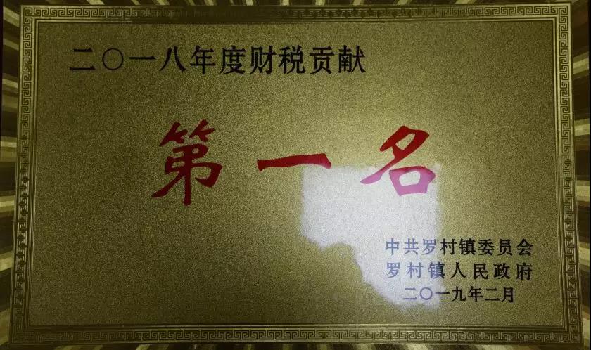 集團公司榮獲羅村鎮(zhèn)財稅貢獻獎16