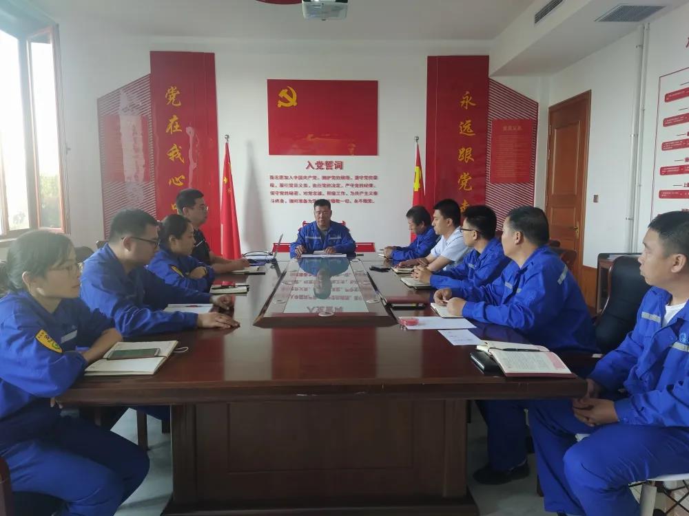 公司黨支部組織開展主題黨日活動(dòng)