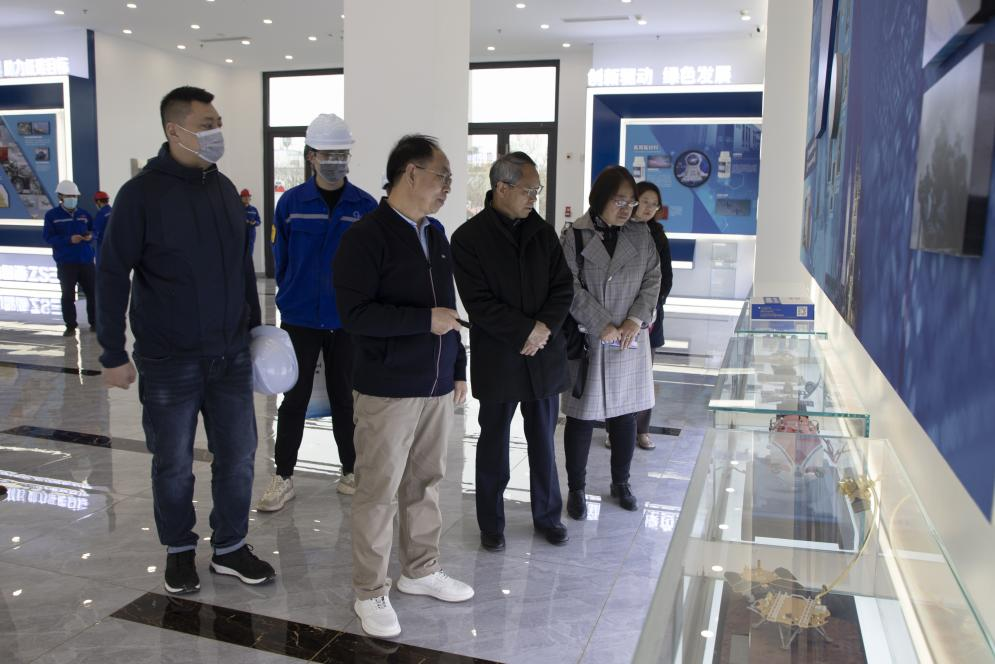 上海前沿新能源電源技術研究院湯衛(wèi)平院長一行蒞臨我公司參觀考察