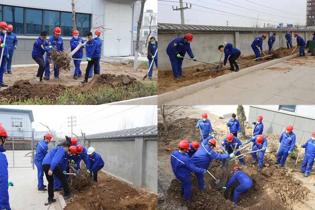 綠化重山丨公司組織開展植樹節(jié)植樹活動