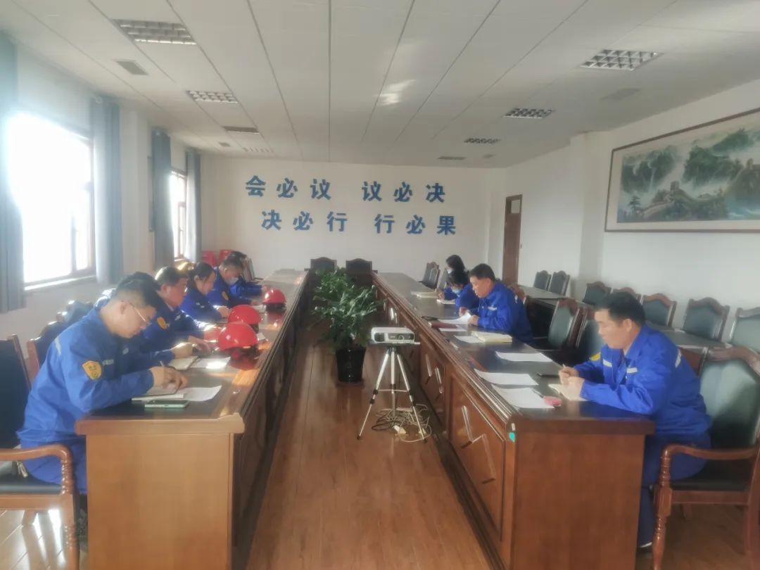 公司黨支部開展主題黨日活動