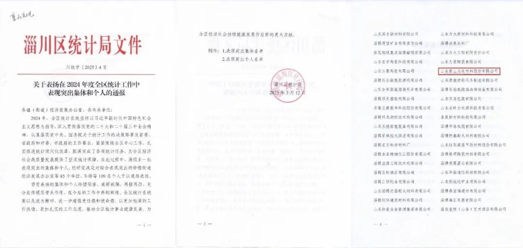 我公司榮獲2024年度全區(qū)統(tǒng)計工作表現(xiàn)突出集體